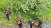 Samsun'da kayalıklara sıkışan düveleri kurtarma operasyonu