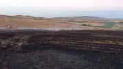 Bandırma’da buğday tarlasında çıkan yangını ekipler büyümeden söndürdü
