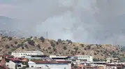 Nazilli’deki zeytinliklerde korkutan yangın