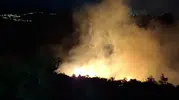 Antakya ormanlarındaki yangın büyümeden söndürüldü