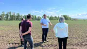 Çorum'da mor soğan tarlaları mercek altında
