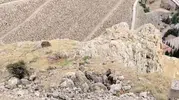 Keban yamaçlarında yaban hayatı şöleni