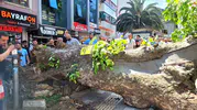 Orhangazi trafiğini felç eden devrilme
