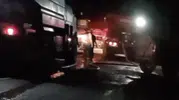 Ayvalık Bağyüzü’nde fıstık çamları alevlere teslim oldu