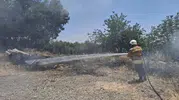 Hassa’da otluk alanda çıkan yangın korkuttu