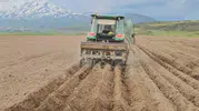 Adilcevaz toprağı fasulye ile buluştu