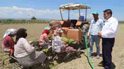 Saruhanlı tarlalarında yeni sezon mesaisi başladı
