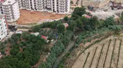 Adana’da atık su krizi Dereye bağlanan kanalizasyon mahalleliyi canından bezdirdi