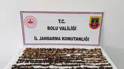 Bolu’da 4,5 kilo salep toplayan üç kişiye milyonluk ceza