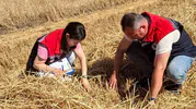 Hayrabolu’da hasat mesaisi denetimlerle başladı