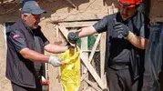 Kırıkkale'de kümes baskını yapan yılan paniği
