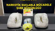İzmir polisine uyuşturucu baskını 15 kilo skunk yakalandı