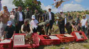 Amasya'da keneyle mücadele için 300 keklik doğaya salındı