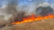 Diyarbakır'da beş ilçeden aynı anda dumanlar yükseldi