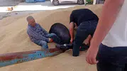 Besni’de iş kazası Ayağını makineye kaptıran işçi yaralandı