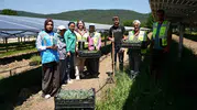 Samsun’da güneş panellerinin gölgesinde tarım dönemi başladı