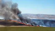Tekirdağ'da tarlaları küle çeviren yangın kontrol altına alındı