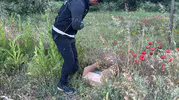 Kütahya yolunda yakalanan şüphelilerin uyuşturucu kaçırma planı suya düştü