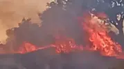 Aydın Efeler’de tarım arazisinde korkutan yangın