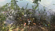 Adana Seyhan Nehri kıyısındaki çöp yığınları tepki çekiyor