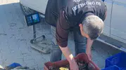 Beyşehir Gölü'nde balık avına cetvelli denetim geldi