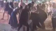 Arsuz’daki müzik festivalinde eğlence kavgayla bölündü