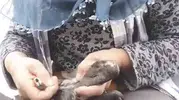 Trabzon’da karabatak kurtarma operasyonu beklenmedik bir şekilde bitti