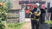 Batmanlı işçilerin duvar arasına sıkışan köpek için başlattığı seferberlik