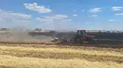 Mardin’de hasat öncesi büyük kayıp