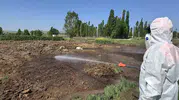 Çorum sokaklarında sinek istilasına karşı belediye mesaisi başladı