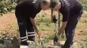 Mardin’de mahalleliyi korkutan yılan itfaiye yardımıyla kurtarıldı