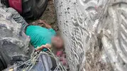 Körfez’de traktör kazası çiftçiyi hastanelik etti