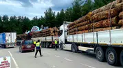 Sinop yollarında orman kaçakçılığına geçit yok