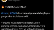 Dikili’deki makilik yangını ekiplerin müdahalesiyle söndürüldü
