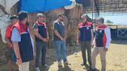 Aydınlı üreticiye devletten 30 düvelik hayvancılık desteği