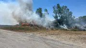 Tekirdağ Muratlı’da otluk yangını paniği büyümeden engellendi