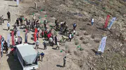 Hatay’ın küle dönen ormanlarında çocuklar bin fidanı toprakla buluşturdu