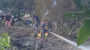 Marmara'da orman yangını korkusu ekiplerin hızlı müdahalesiyle bitti