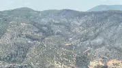 Fethiye ormanlarında 24 saatlik kabus sona erdi