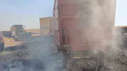 Cizre kırsalında alevlerin arasında kalan çoban yaşam mücadelesi veriyor