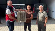 Devrekani’de kanadı kırık leyleği ekipler kurtardı