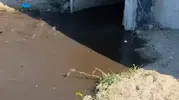 Mudanya sahilinde denize kanalizasyon akıtıldı