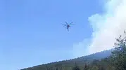 Sındırgı ormanlarında yeni yangın alarmı