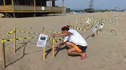 Manavgat sahillerinde 20 bin minik deniz yolcusu için seferberlik