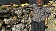 Mersinli ustanın yarım asırlık taş duvar inadı