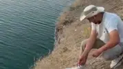 Keban Barajı'nda balık tutarken oltaya martı yakaladılar