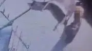 Avcılar'da gündüz vakti apartman bahçesini soydular