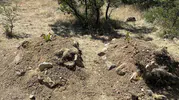 Kastamonu'da kiraz yedikten sonra hayatını kaybeden çift toprağa verildi