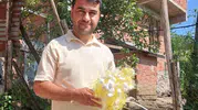 Fındığa alternatif arayanlara ipek böceği önerisi