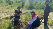 Bayburt topraklarında yeni bir gelir kapısı açıldı